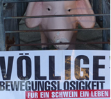 Hinter Gitter gesperrt!