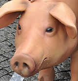 Meat-Out in Vorarlberg