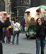 Flashmob gegen Kastenstände