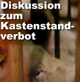Einladung: Kastenstandverbot - Große Diskussion zwischen Tierschutz, Politik, Wissenschaft und Landwirtschaft