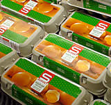 Skandal: INTERSPAR und BILLA verkaufen Käfigeier in Kroatien!
