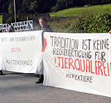 Energy 2050 - Berlakovich blickt in die Zukunft - doch die Schweine leiden JETZT und HIER!
