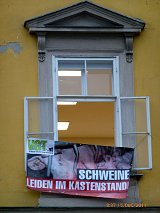 JETZT: TierschützerInnen besetzen Grazer Landwirtschaftskammer