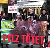 Großer Demo-Samstag in Graz