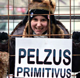 Steinzeitmensch Pelzus Primitivus bei Oberwalder