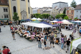VGT auf Fair Planet Veganfest in Linz