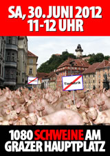 Große Versammlung am Grazer Hauptplatz!