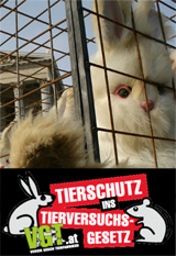 Einladung: Übermorgen Mittwoch Aktion zu Reform des Tierversuchsgesetzes