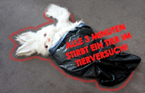 Einladung: Montag VGT-Aktion zu Tierversuchen vor dem Parlament