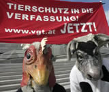 Tierschutz in die Verfassung: ÖVP verhindert seit 16 (!) Jahren Umsetzung