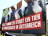 Erste Linzer Kreuzungsdemo
