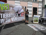 Infotisch Tierversuchs- und Tierleidfrei