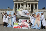 Durchbruch bei Tierschutz als Staatsziel in der Bundesverfassung!
