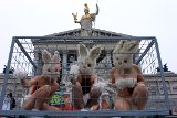 Nackte im Laborkäfig vor Parlament fordern Versuchstier-Ombudsschaft