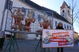 VGT: nicht einmal der Schweregrad des Leids bei Tierversuchen soll öffentlich werden