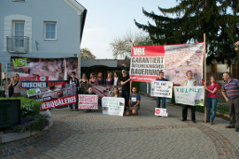 Schweinedemo Vogau