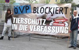 Schweinedemo Vogau