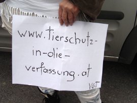 Schweinedemo Vogau
