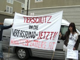 Schweinedemo Vogau
