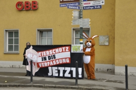 Demo Vorarlberg