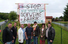 Schweine Plakat