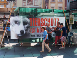 Infostand Graz
