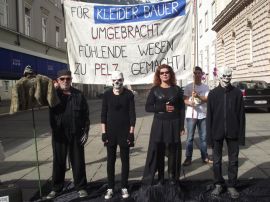 Demo Innsbruck
