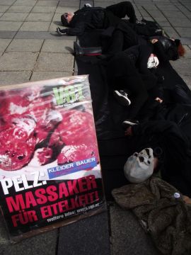 Demo Innsbruck