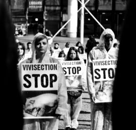 Demo gegen Tierversuche