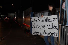 Schlalchthausdemo