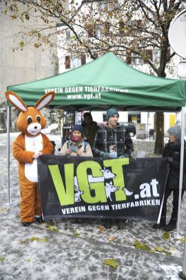 Pelzinfostand
