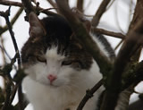 News aus dem Tierparadies Schabenreith