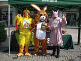 Ei, Ei, Ei.... oder warum rennt ein Hase durch Vorarlberg?