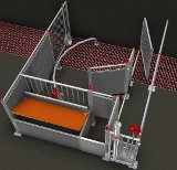 Noch 20 Jahre Übergangsfrist: was kommt nach dem Kastenstandhaltungsverbot für Mutterschweine?