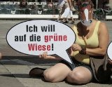 "Ich will raus aus der Stadt!", schreit das Fiakerpferd