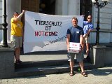Tierschutzprozess: 2186 Selbstanzeigen wegen Nötigung Staatsanwaltschaft übergeben
