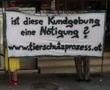 Tierschutzprozess OLG-Urteil: nun serienweise Anzeigen gegen NGOs und ÖGB
