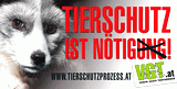 Pressekonferenz Tierschutzprozess IFES-Umfrage: Was sagt die Bevölkerung?