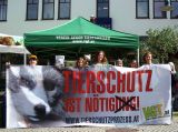 Tierschutzaktiv, aber wie? VGT-Workshop schon bald in Vorarlberg!