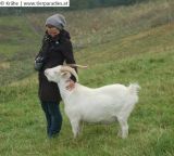 Tierparadies Schabenreith: Das war der Tag der offenen Tür