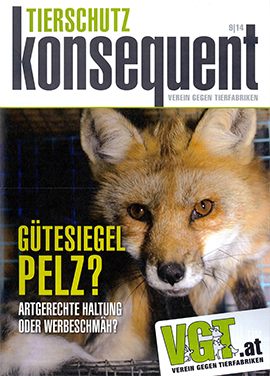Küken
