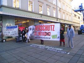 Demo Innsbruck