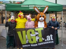 VGT Infostand