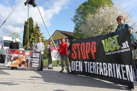 Tierfabriken