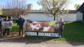 Bodenhaltung
