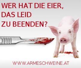 Kampagne
