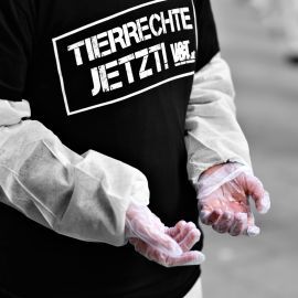 Tierrechte Jetzt!