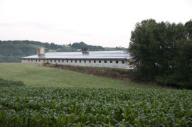 Tierfabrik