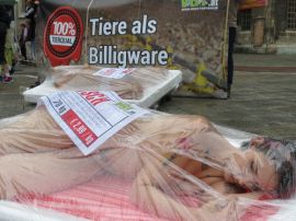Tiere als Billigware