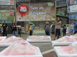 Tiere als Billigware